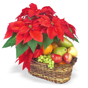 Poinsettia and Fresh Fruit Basket