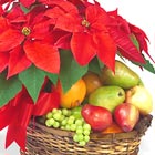 Poinsettia and Fresh Fruit Basket
