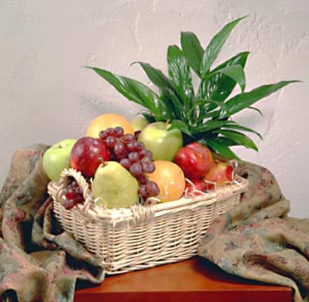 Fresh Fruit Basket with Green Plant