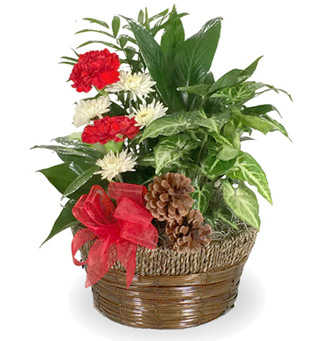 Happy Holidays Planter Basket