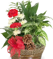 Happy Holidays Planter Basket