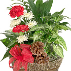 Happy Holidays Planter Basket