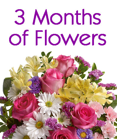 3 Months of Flowers