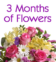 3 Months of Flowers