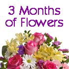 3 Months of Flowers