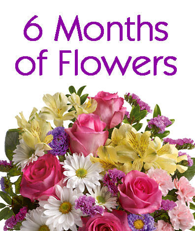 6 Months of Flowers