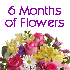 6 Months of Flowers