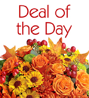 Deal of the Day Autumn Bouquet