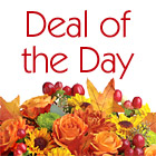 Deal of the Day Autumn Bouquet