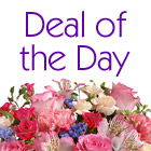 Deal of the Day Pastel Mix Bouquet
