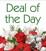 Deal of the Day Holiday Bouquet