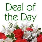 Deal of the Day Holiday Bouquet