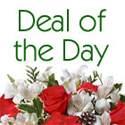 Deal of the Day