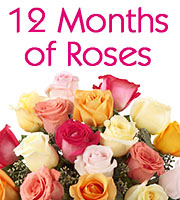 12 Months of Roses