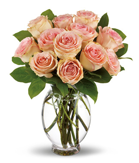 Teleflora&reg; Delicate Dozen Roses