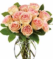 Teleflora  Delicate Dozen Roses