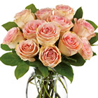 Teleflora® Delicate Dozen Roses