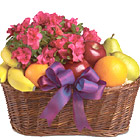 Fruits and Blooms Basket