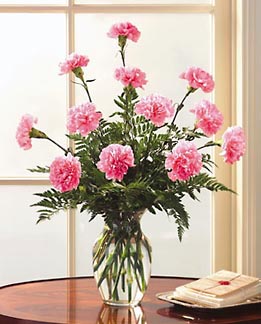 - Dozen Pink Carnations Vase
