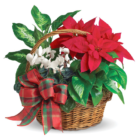 Holiday Homecoming Basket