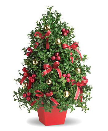 - Deck The Halls Arrangement