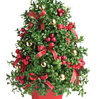 Deck The Halls Arrangement