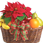 Fruit and Poinsettia Gift Basket