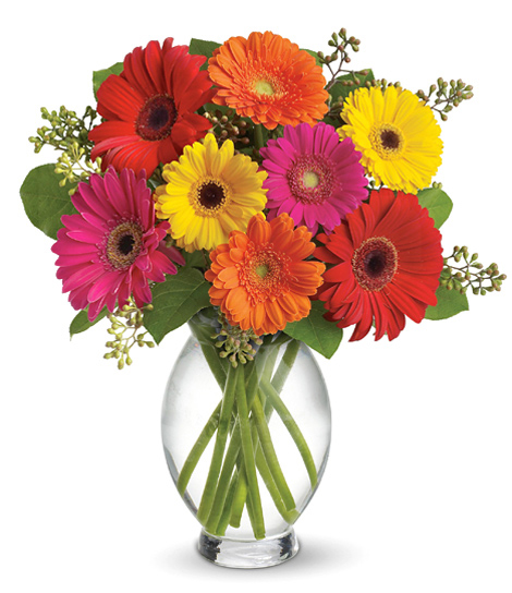 Gerbera Brights Bouquet