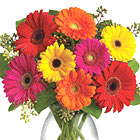 Gerbera Brights Bouquet