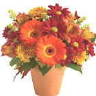 Golden Glow Bouquet