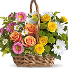 Sweet Tranquility Flowers Basket