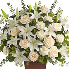 Loving Lilies and Roses