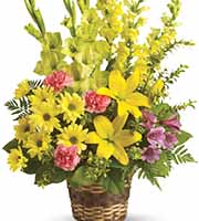 Vivid Recollections Sympathy Basket