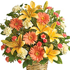 Soft Sentiments Bouquet