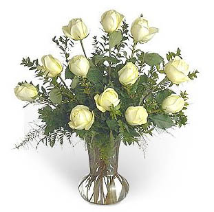 Dozen White Roses Vased