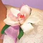 Single Cymbidium Corsage