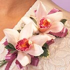 Double Cymbidium Corsage