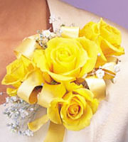 Yellow Roses Corsage