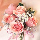 Pink Roses Corsage
