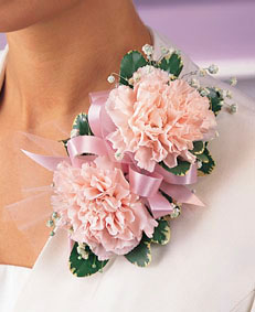 Pink Carnations Corsage