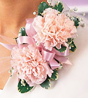 Pink Carnations Corsage