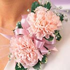 Pink Carnations Corsage