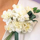 White Mini Carnations Corsage