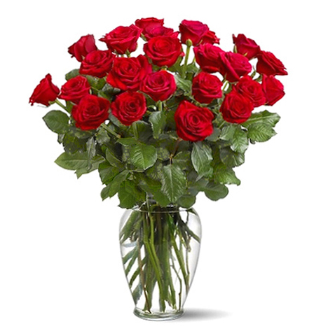 24 Roses Vased