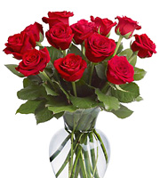 12 Roses Vased