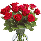 Dozen Red Roses