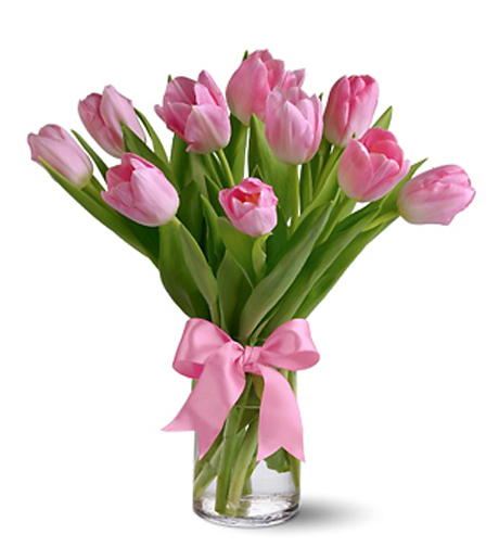 Precious Pink Tulips