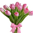 Precious Pink Tulips