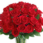 Love and Devotion Roses Vase
