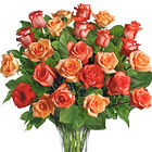 Sunrise Splendor Rose Vase